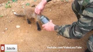 Watch Video Orang-Orang Keren Pantas Untuk Di Tonton Video