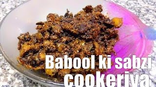Watch Babool ki sabzi recipe Video