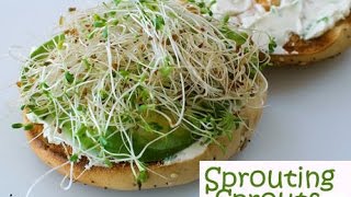 Watch Sprout Moong Dal Ka Salad Recipe(stream sprout recipe) Video
