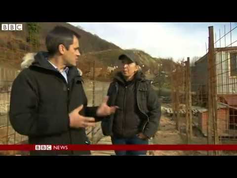 Watch Sochi Olympic dogs saved by Russian billionaire News Video Video