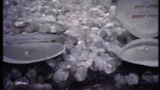 Watch Title Song - Boond Jo Ban Gayee Moti (1967) - Asha Bhonsle & Manna Dey - {Old Is Gold} Video
