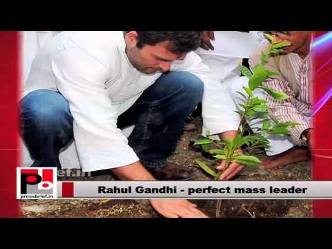 Watch Rahul Gandhi steps up attack against Modi Video