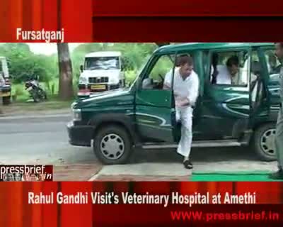 Watch Rahul Gandhi Visits Veterinary Hospital, 18th Aug 2009 Video