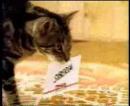 Watch Clever and Funny Australian DHL Commercia Video