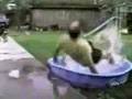Watch Funny Video Video