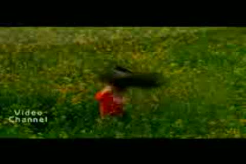 Watch Allah Kare Dil Na Lage Kisise - ANDAAZ  Video