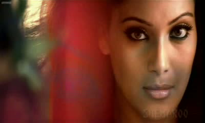 Watch Dil Chura Ke Mera Kyun Video Song  Video