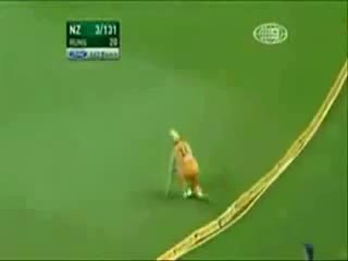 Watch what a amazing catch Video