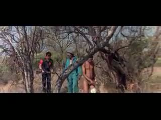 Watch Whild life Safari Video