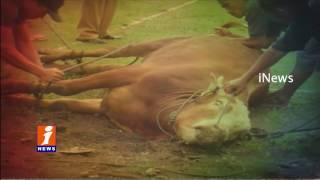 Watch Pawan Kalyan Begins Twitter War Against BJP Over Cow Slaughter and AP Special Status | iNews Video