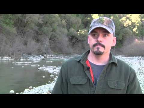 Watch California Drought Spurs Mini Gold Rush News Video Video