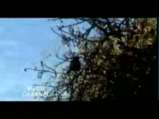 Watch Churao Na Dil Video Song Video