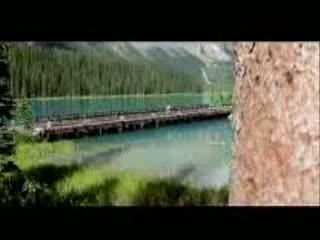 Watch Koi mil gaya Video Song Video