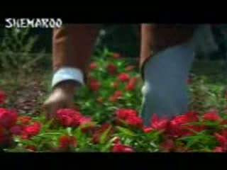 Watch Phool Mangoo Na Bahar Mangoo video song from the movie Raja Video