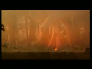 Watch Aashayein Mile Dil Ki video song from the movie Iqbal ft. Naseeruddin Shah, Shreyas Talpade and Shweta Prasad  Video