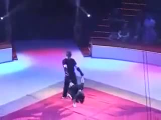 Watch outstanding performance video  Video