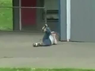 Watch GENIUS OF THE DAY Video