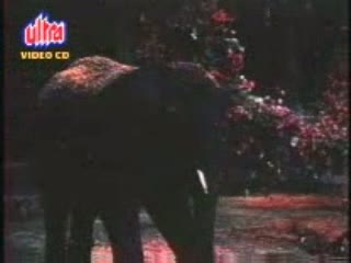 Watch Bahaaron Phool Barsaao video song from the movie suraj Video