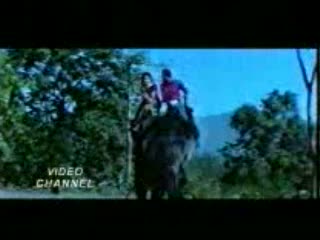 Watch Meri Tamannaon Ki Taqdeer Tum Sanwar Do Pyaasi Hai Zindagi Aur Mujhe Pyar Do Video Song Video