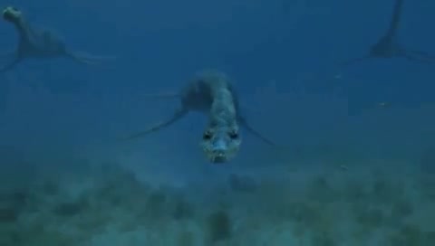 Watch Jurassic Park 4 Waterworld Video