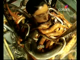 Watch Khatron Ke Khiladi (KKK ) Season 4 Torchaar Episode 5 - Anjum exhibits courage with calmness (Part 15 Of 17) Video
