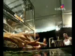 Watch Khatron Ke Khiladi (KKK ) Season 4 Torchaar Episode 5 - Dina conquers snakes, loses by a needle (Part 11 Of 17) Video