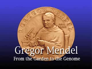Watch Gregor Mendel The Father of modren genetics - From the Garden to the Genome  Video