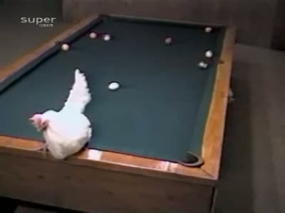 Watch This is called a real Snooker , hahahaha Video