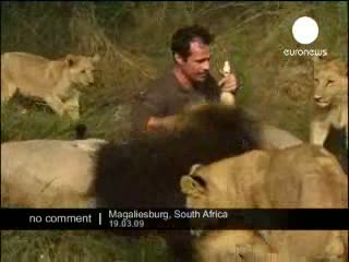 Watch Big Lions (Ajit) Video