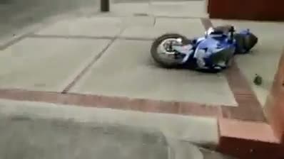 Watch Amazing....REAL OR FAKE Video