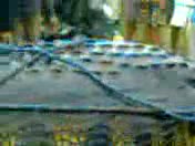 Watch Giant crocodile captured alive in Philippines 21ft long Video
