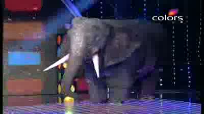 Watch India's Got Talent Season 3 - (9-September-2011) Siddesh's group animal puppet dance fizzles out Video