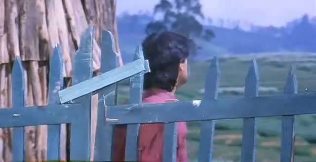 Watch Dil Deewana Bin Sajna Ke maane Na - Maine Pyar Kiya- [HD] Video