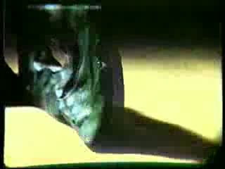 Watch Art Clokey's Gumbasia Video