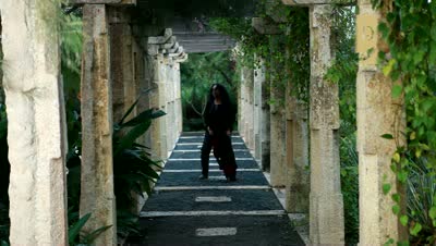 Watch The Dewarists - Susheela Raman Video