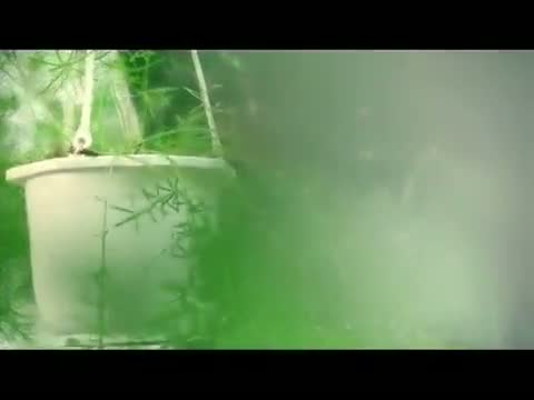 Watch [MV] Have The Love Do - Dong Nhi Video