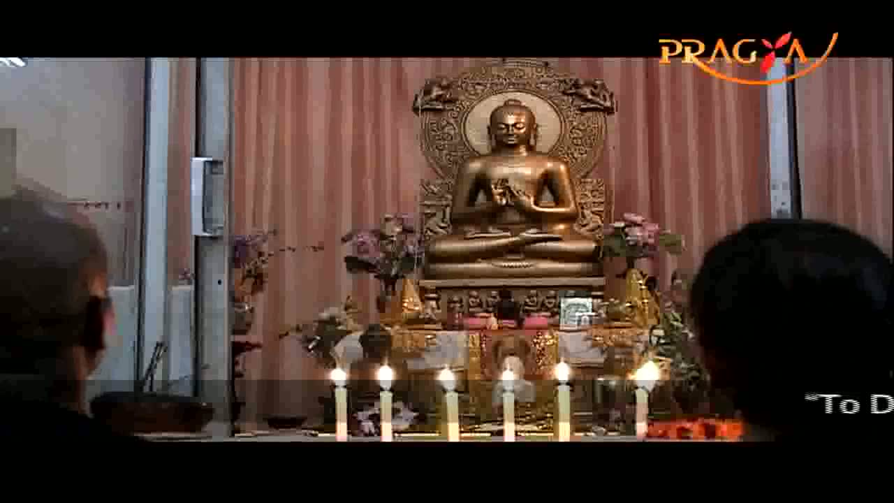 Watch Pragya Prabhat-Wellbeing/Cardio & Ear Therapy Video