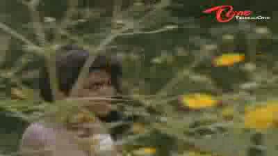 Watch Kobbari Bondam - Telugu Songs - Andaala Meghamala - Nirosha - Rajendra Prasad Video