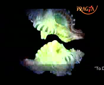 Watch Pragya Prabhat-Action Plan/Aerobics/Aura Therapy Video