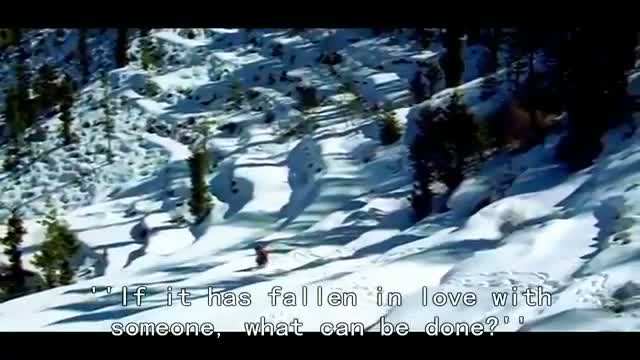 Watch Dil To Hai Dil Dil Ka Aitbar Kya Kijiye - From the movie - Pakeezha Video