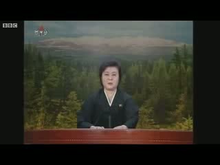 Watch North Korean State TV announces Kim Jong Il's death Video