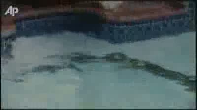 Watch Giant Python Shows Up in Family Pool Video