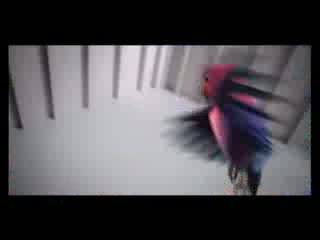 Watch KitKat Love Birds Add - New Commercial Video