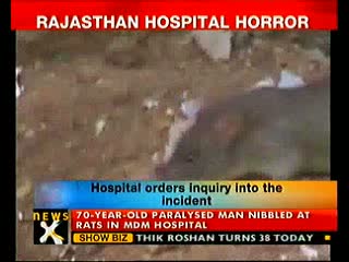Watch Rajasthan hospital horror - Rats nibble paralyzed mans face Video
