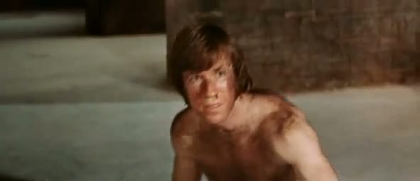 Watch Bruce Lee VS Chuck Norris Fight Scene HD Video