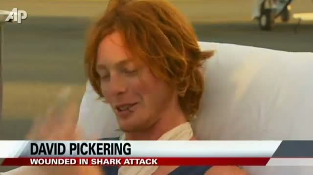 Watch Guide Hurt, 3rd Australian Shark Attack in Weeks Video
