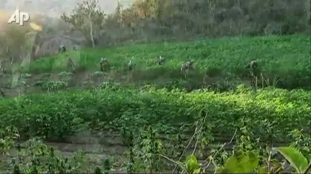 Watch Mexico Drought So Bad, Even Drug Trade Affected Video