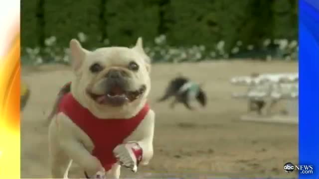 Watch Super Bowl Commercials 2012 - Kim Kardashians Sketcher Replacement, Mr. Quiggly Video