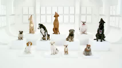 Watch The Bark Side - 2012 Volkswagen Game Day Commercial Teaser Video
