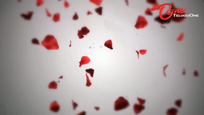Watch Happy Valentines Day Animated  Video  Video